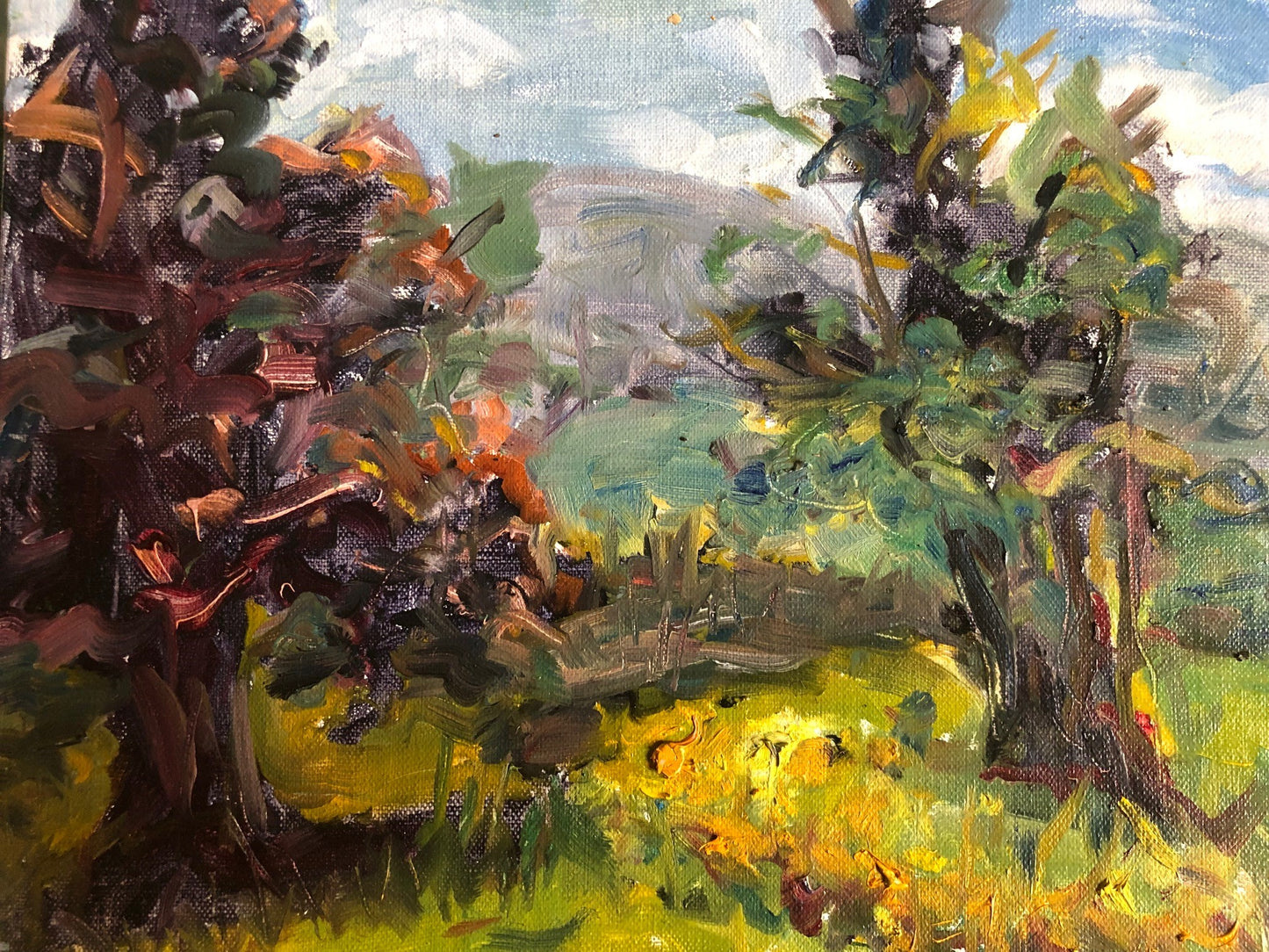 KAREN CARMEAN