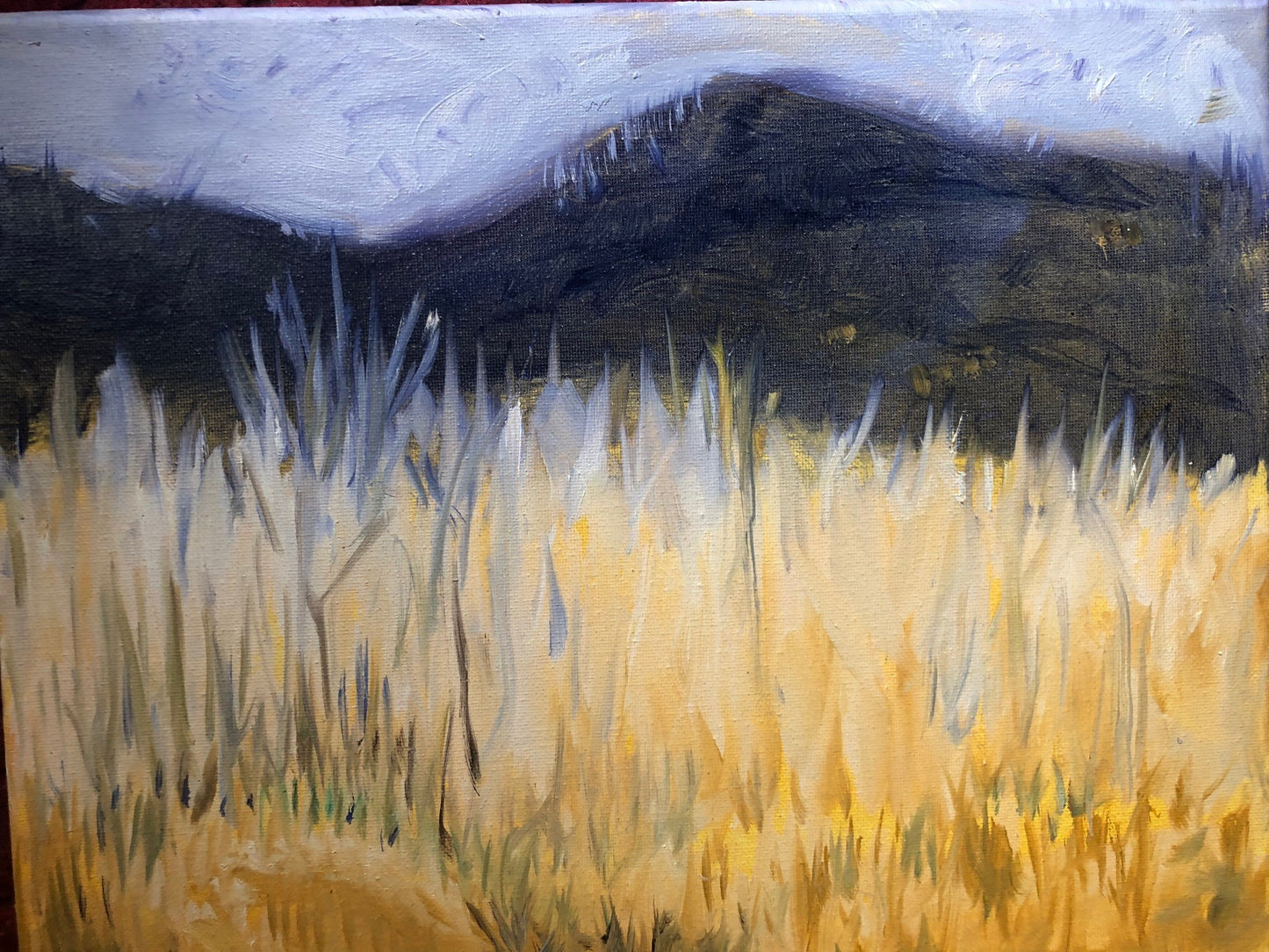 KAREN CARMEAN