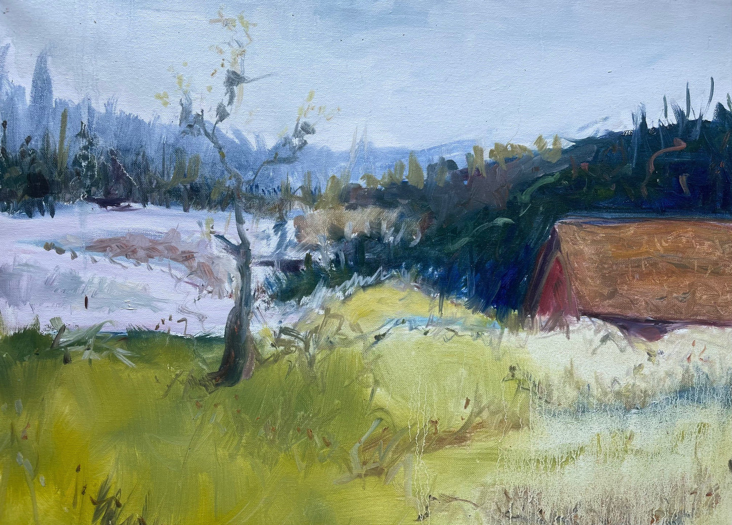 KAREN CARMEAN