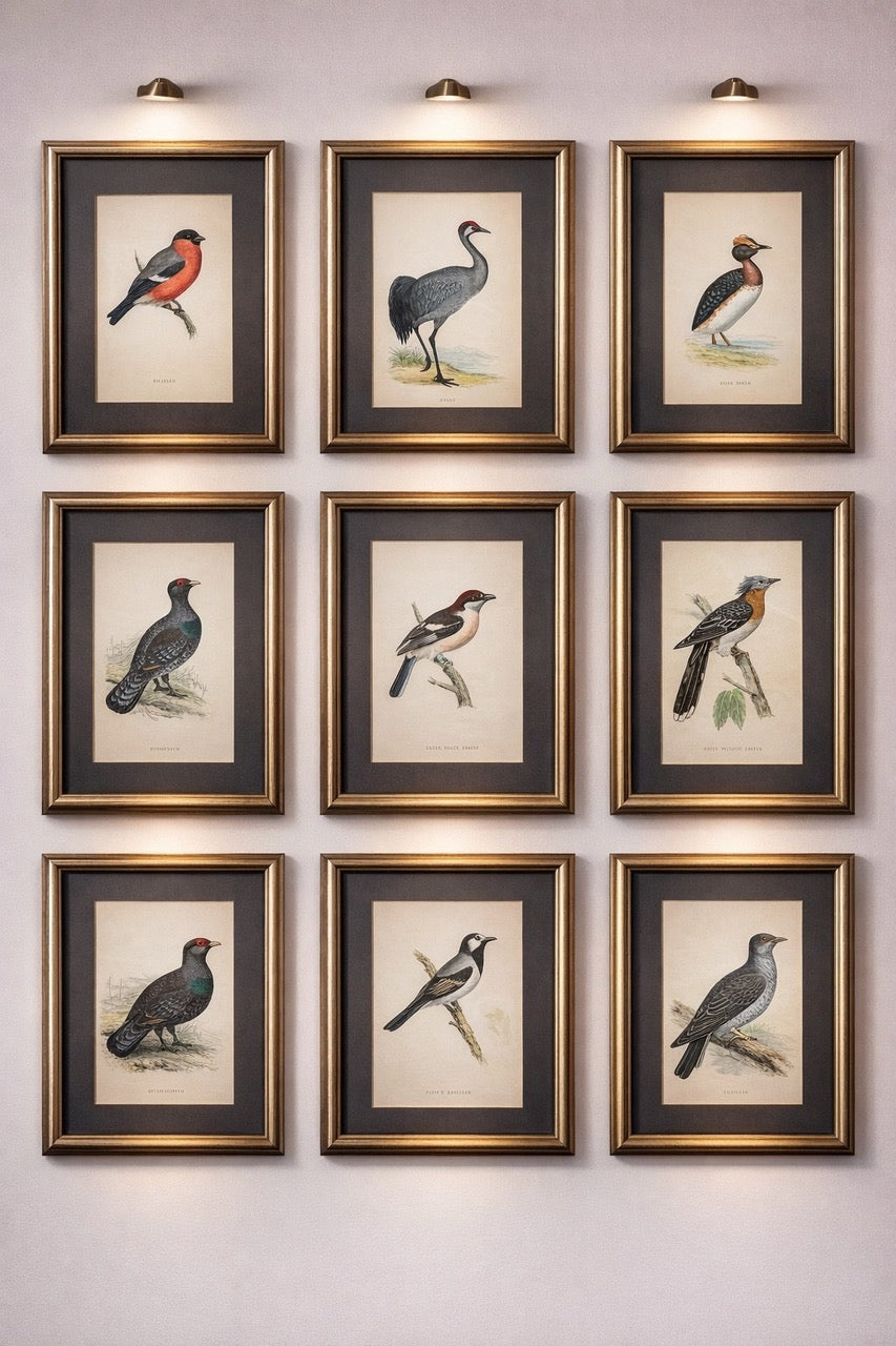 Frederic Gallery