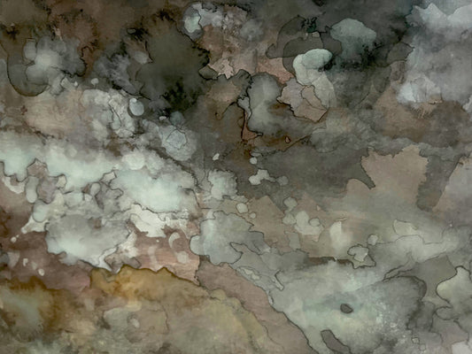 CATHERINE LIPSETZ DAUER