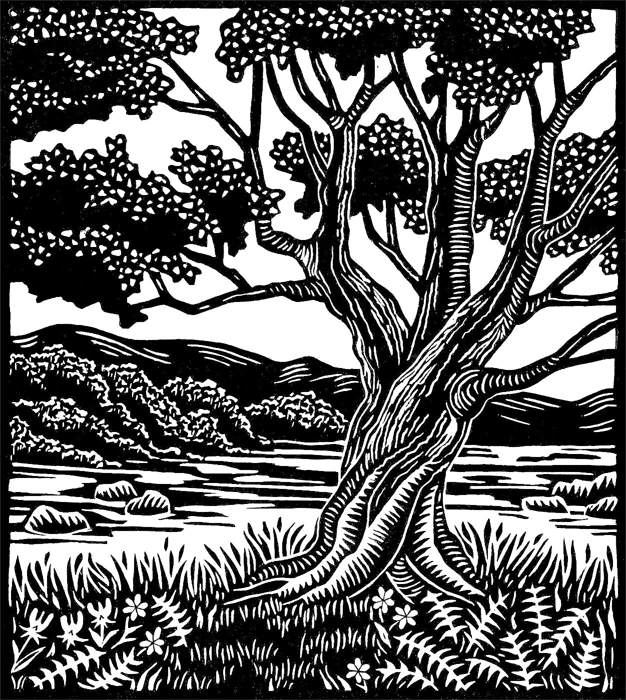 JANE McWHORTER
