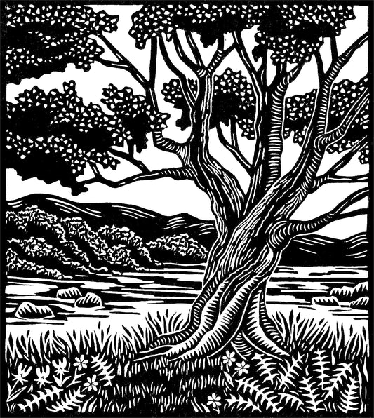 JANE McWHORTER